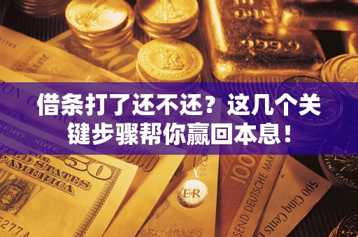 武汉借条打了还不还？这几个关键步骤帮你赢回本息！
