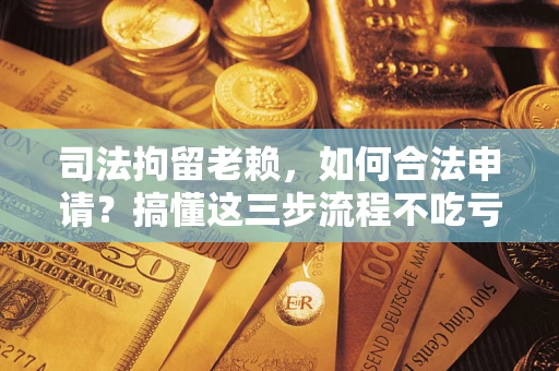 武汉司法拘留老赖，如何合法申请？搞懂这三步流程不吃亏！