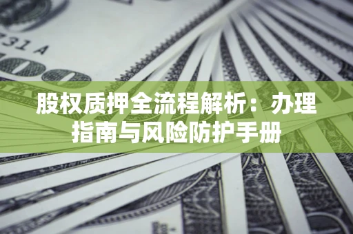 武汉股权质押全流程解析：办理指南与风险防护手册