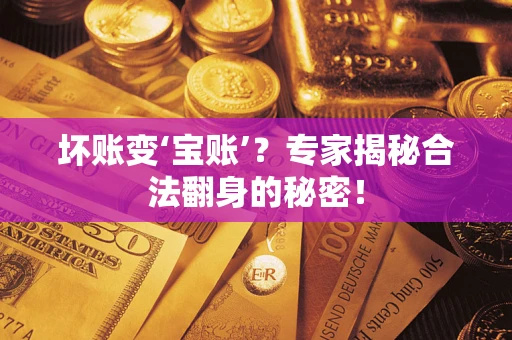 武汉坏账变‘宝账’？专家揭秘合法翻身的秘密！