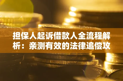 武汉担保人起诉借款人全流程解析：亲测有效的法律追偿攻略