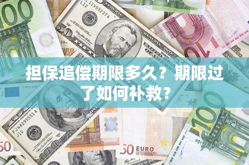 武汉担保追偿期限多久？期限过了如何补救？