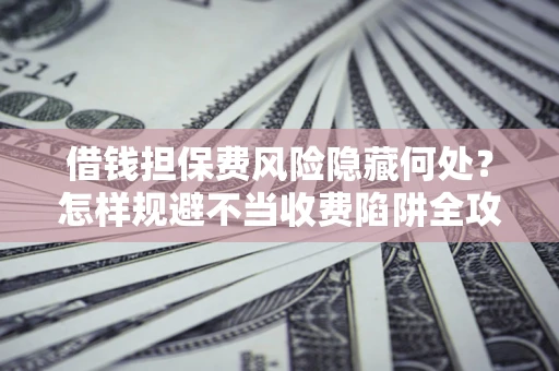 武汉借钱担保费风险隐藏何处？怎样规避不当收费陷阱全攻略！