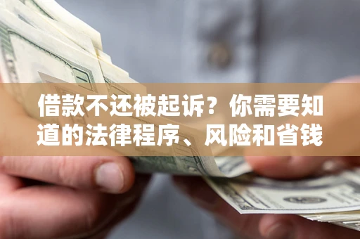 武汉借款不还被起诉？你需要知道的法律程序、风险和省钱技巧